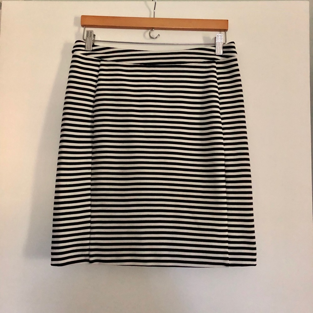 41 Hawthorn Stripe Skirt with Exposed Back Zip